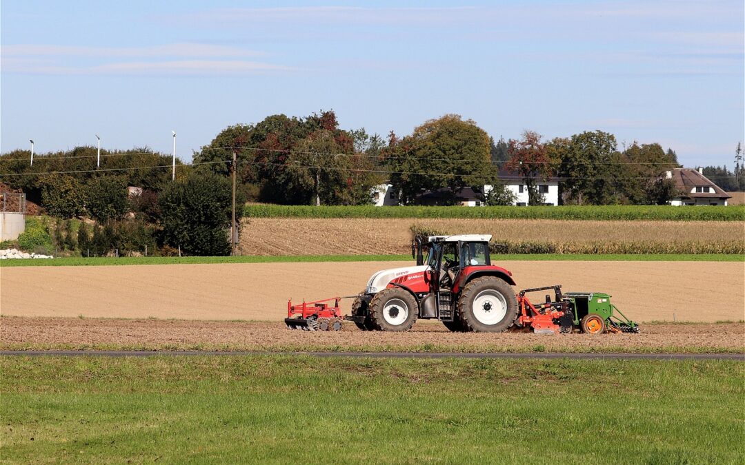 Froment d’hiver: quelles variétés choisir pour les prochains semis?